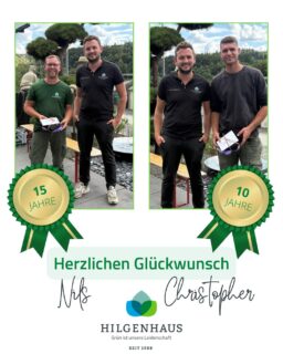 🎉 𝑬𝒉𝒓𝒖𝒏𝒈 𝒖𝒏𝒔𝒆𝒓𝒆𝒓 𝒍𝒂𝒏𝒈𝒋𝒂̈𝒉𝒓𝒊𝒈𝒆𝒏 𝑲𝒐𝒍𝒍𝒆𝒈𝒆𝒏 🎉

Am Freitag durften wir zwei besondere Jubiläen feiern und unseren Dank aussprechen:

Unser Kollege 𝐂𝐡𝐫𝐢𝐬𝐭𝐨𝐩𝐡𝐞𝐫 ist seit nunmehr 𝟏𝟎 𝐉𝐚𝐡𝐫𝐞𝐧 Teil unseres Teams. In dieser Zeit hat er mit großem Engagement, Zuverlässigkeit und Fachwissen wesentlich zum Erfolg unserer Projekte beigetragen.

Ebenso gratulierten wir 𝐍𝐢𝐥𝐬, der bereits auf 𝟏𝟓 𝐉𝐚𝐡𝐫𝐞 Betriebszugehörigkeit zurückblickt. Mit seiner Erfahrung, seinem Einsatz und seiner Loyalität ist er ein unverzichtbarer Teil unseres Unternehmens geworden.

Wir bedanken uns herzlich für die vielen Jahre der Treue, die hervorragende Arbeit und die tolle Zusammenarbeit. 💚

Auf die nächsten Jahre – wir freuen uns, weiterhin gemeinsam mit euch die Zukunft von Hilgenhaus Grünbau zu gestalten! 🌱

 #KarriereImGartenbau #Gratulation #StolzAufUnserTeam #Galabau #Gartenprofi #jubiläum #team #arnsberg