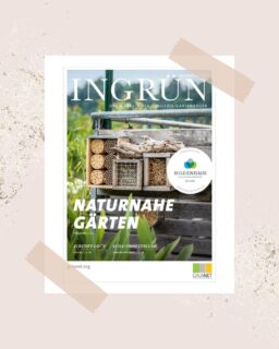 Der Frühling ist da! 🌷 Und mit ihm viele frische Ideen, Pläne und Inspirationen für Ihr persönliches Stück Natur.

Wie passend, dass das neue INGRÜN-Magazin da ist!

In dieser Ausgabe dreht sich alles um 𝗻𝗮𝘁𝘂𝗿𝗻𝗮𝗵𝗲 𝗚𝗮̈𝗿𝘁𝗲𝗻. Wir zeigen Ihnen, wie man mit heimischen Pflanzen, etwas Planung und einem guten Gespür für die Natur echte Lebensräume schafft – für Mensch, Tier und Pflanzenwelt.

Den Link zum Magazin finden Sie in unserer BIO und unter hilgenhaus-gruenbau.de/ingruen-magazin/

Ihr Team von Hilgenhaus Grünbau 🌱

 #gartenpflege #gartenbau #grünistunsereleidenschaft #arnsberg #GALANET