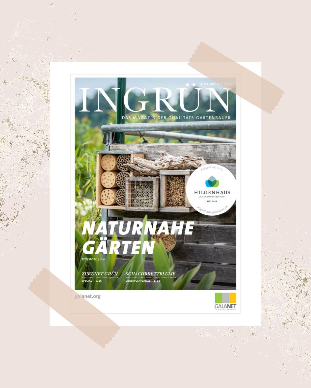 Der Frühling ist da! 🌷 Und mit ihm viele frische Ideen, Pläne und Inspirationen für Ihr persönliches Stück Natur.

Wie passend, dass das neue INGRÜN-Magazin da ist!

In dieser Ausgabe dreht sich alles um 𝗻𝗮𝘁𝘂𝗿𝗻𝗮𝗵𝗲 𝗚𝗮̈𝗿𝘁𝗲𝗻. Wir zeigen Ihnen, wie man mit heimischen Pflanzen, etwas Planung und einem guten Gespür für die Natur echte Lebensräume schafft – für Mensch, Tier und Pflanzenwelt.

Den Link zum Magazin finden Sie in unserer BIO und unter hilgenhaus-gruenbau.de/ingruen-magazin/

Ihr Team von Hilgenhaus Grünbau 🌱

 #gartenpflege #gartenbau #grünistunsereleidenschaft #arnsberg #GALANET
